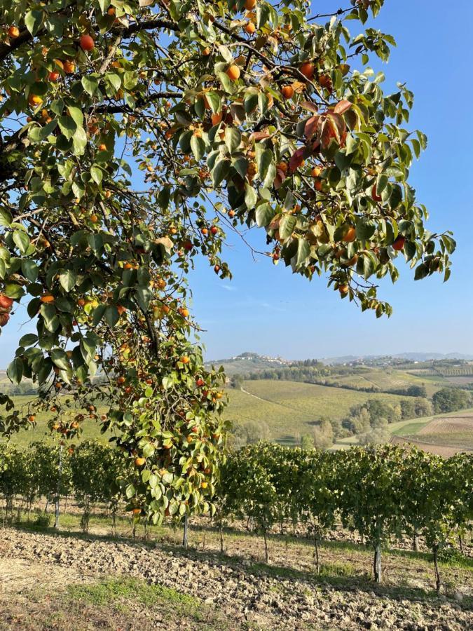 Апартаменты Locazione Turistica Cascina Pela Кастаньоле-Ланце Экстерьер фото