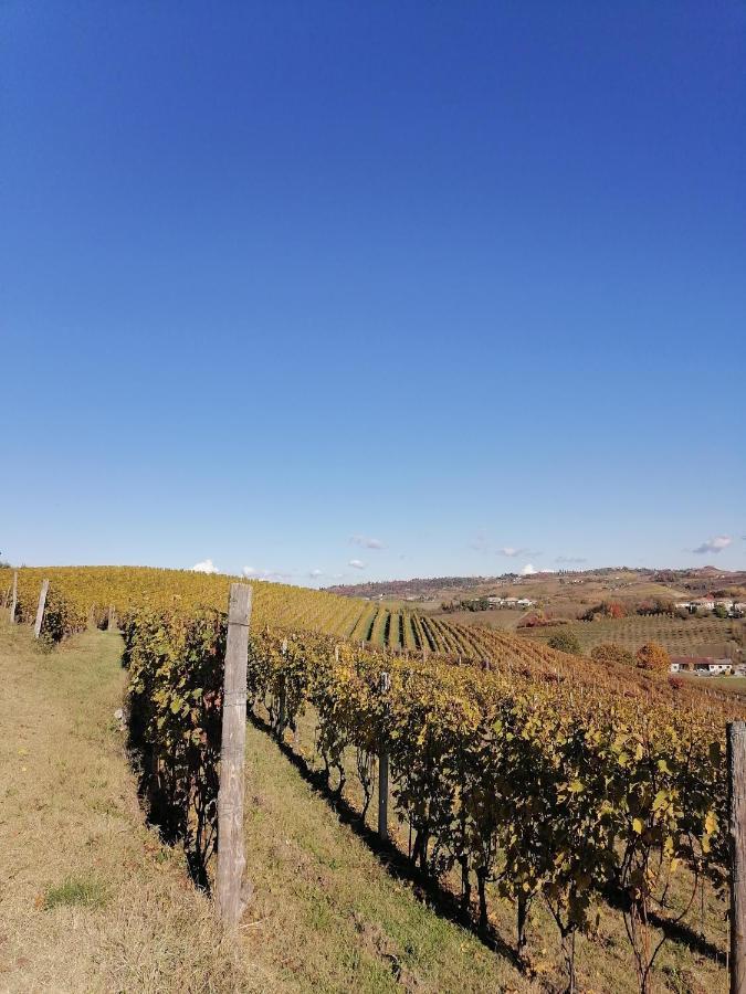 Апартаменты Locazione Turistica Cascina Pela Кастаньоле-Ланце Экстерьер фото